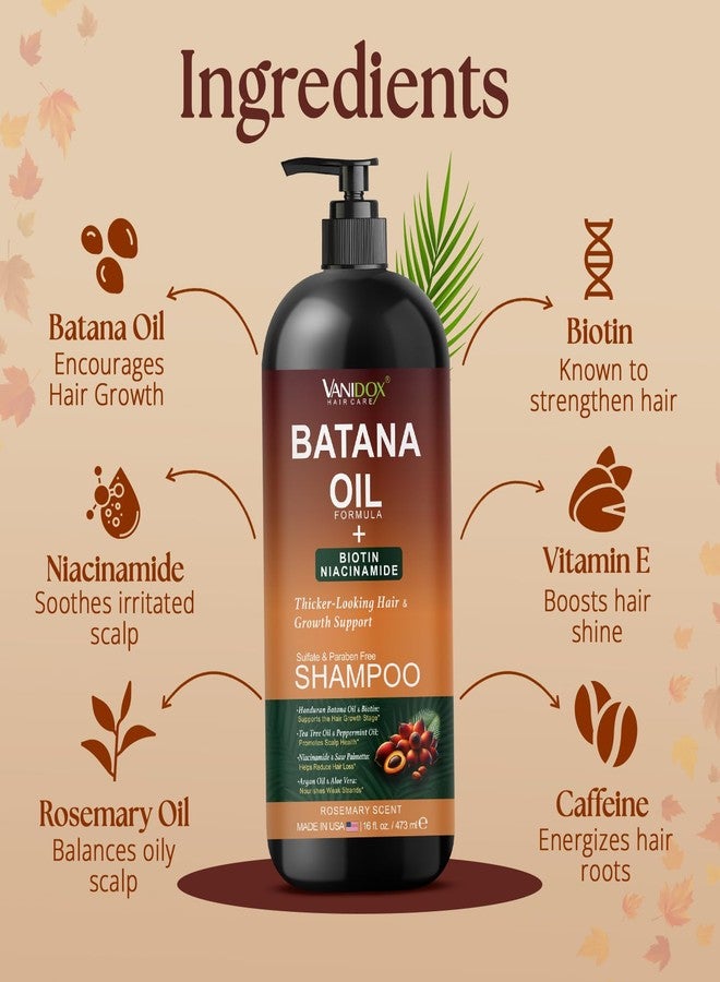 VANIDOX Batana Oil Shampoo – Biotin & Niacinamide Infused – Supports Thicker-Looking Hair – Moisturizing & Nourishing for Thinning Hair and Scalp Care – Sulfate-Free, 16 fl oz - Image 4